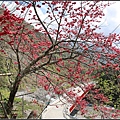 瑞岩紅香部落_103.jpg