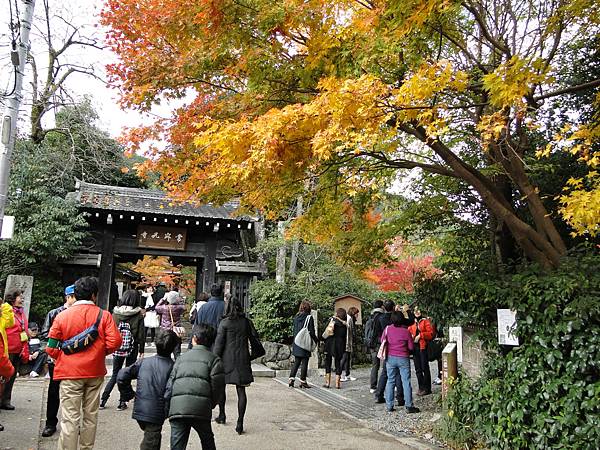 常寂光寺到了