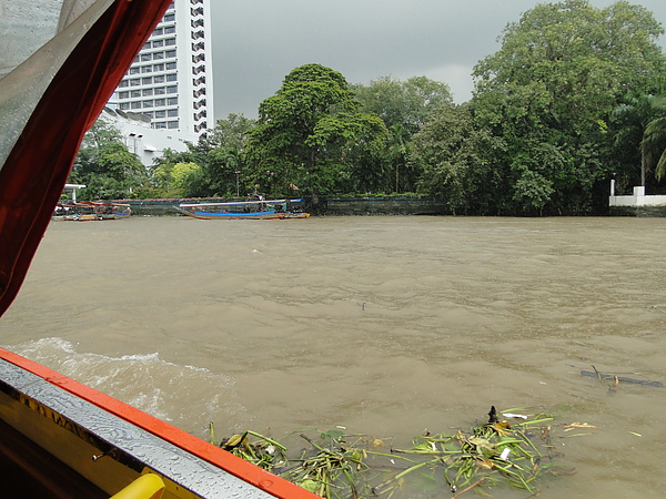 不過湄南河的水也是挺混濁的