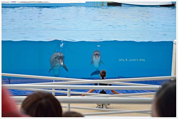 DSC_0696 DSC_0696