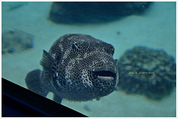 DSC_0755 DSC_0755