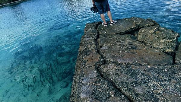 德國拜耳純PC行李箱推薦,行李箱 品牌 推薦,法國 奧莉薇閣 德國拜耳純PC行李箱推薦,行李箱 品牌 推薦,法國 奧莉薇閣