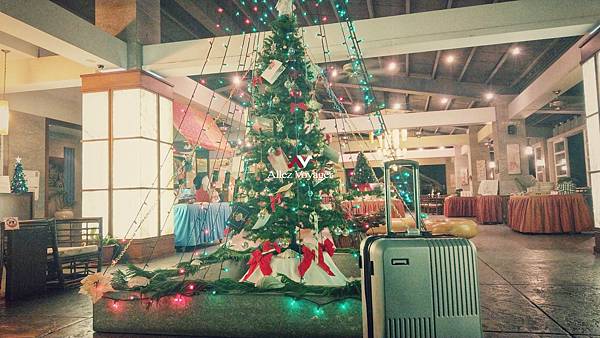 德國拜耳純PC行李箱推薦,行李箱 品牌 推薦,法國 奧莉薇閣 德國拜耳純PC行李箱推薦,行李箱 品牌 推薦,法國 奧莉薇閣