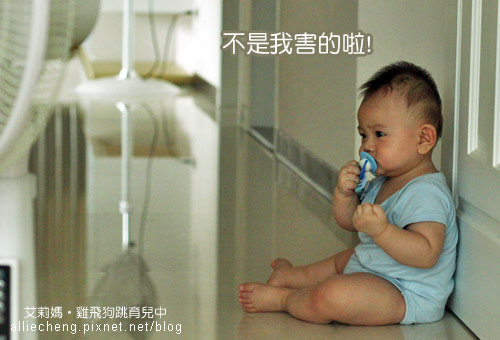 IMG_1305 IMG_1305