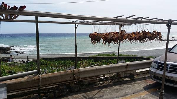 曬飛魚.jpg 曬飛魚.jpg