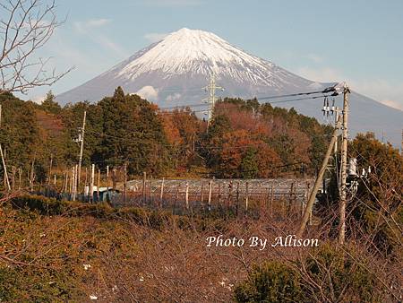 岩本山公園所拍