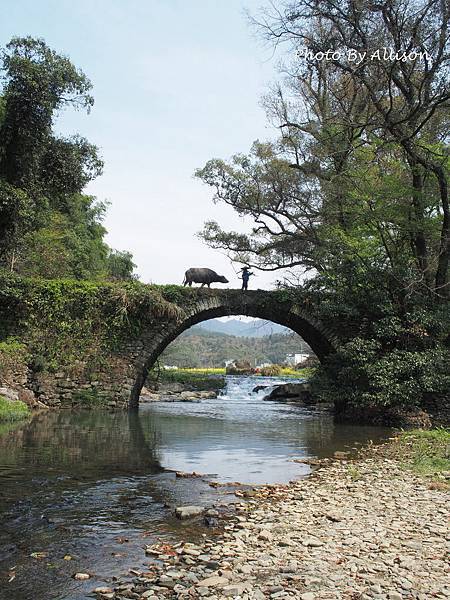 －＞婺源油菜花季3 / 24－思溪、延村、虹關…