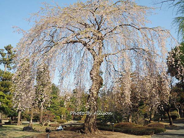 藤田紀念庭園