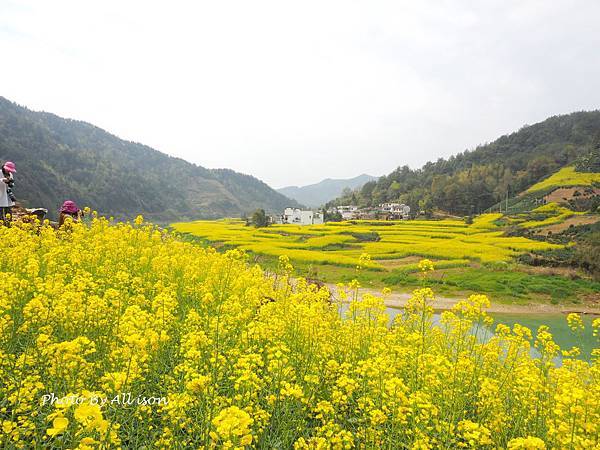 －＞新安江山水畫廊---婺源徽南古村落攝影