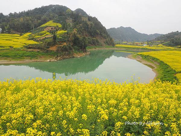 －＞新安江山水畫廊---婺源徽南古村落攝影