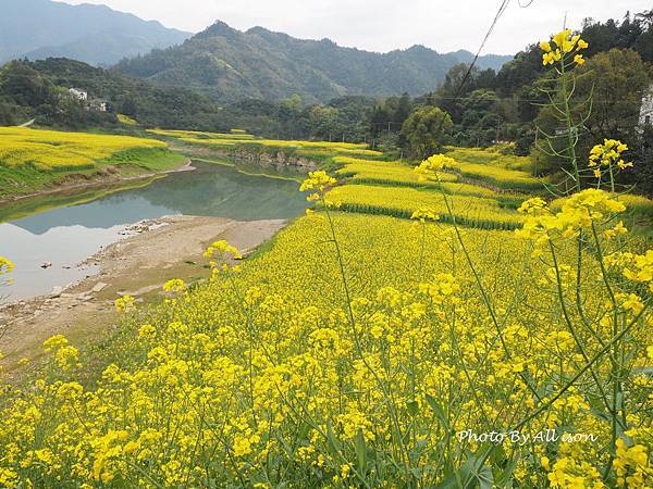 －＞新安江山水畫廊---婺源徽南古村落攝影