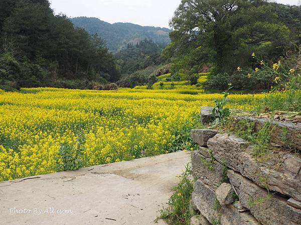 －＞新安江山水畫廊---婺源徽南古村落攝影