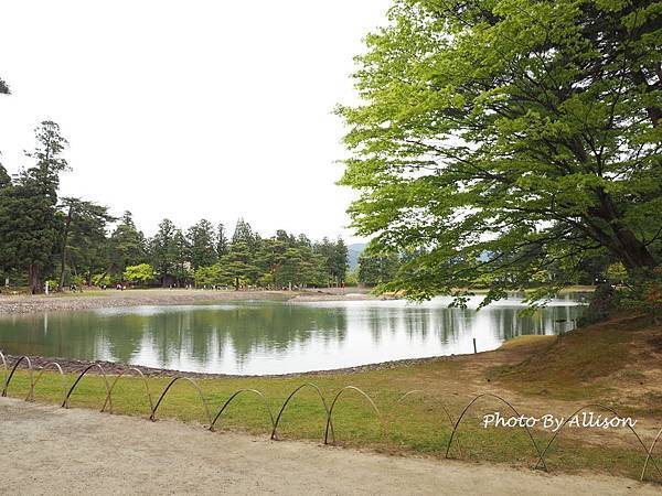 毛越寺大泉池