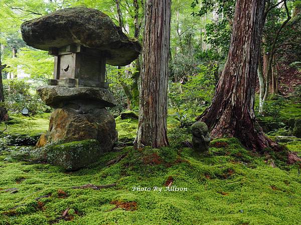 －＞綠意中的靜謐－大原三千院