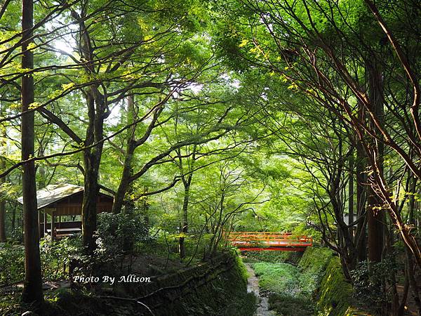 －＞綠意中的靜謐－大原三千院