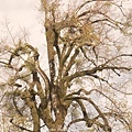 DSC05053.JPG