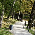DSC05050.JPG