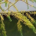 DSC05086.JPG