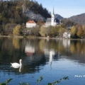 DSC05174.JPG