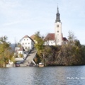 DSC05189.JPG