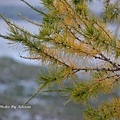 DSC04931.JPG