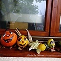 DSC05291.JPG