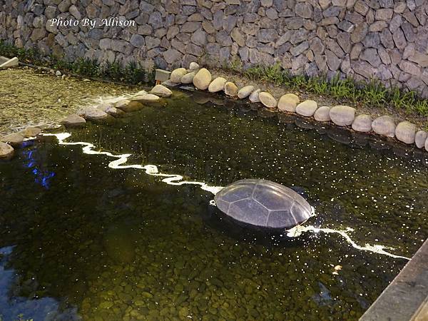 DSC09770.JPG