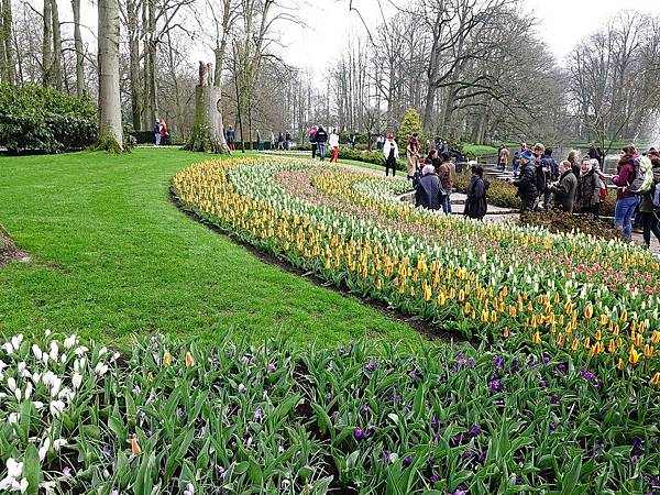 ※人間最美的春天在庫肯霍夫Keukenhof－世界上最大的鬱