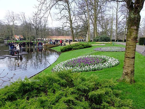 ※人間最美的春天在庫肯霍夫Keukenhof－世界上最大的鬱