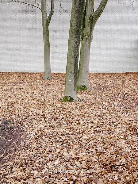 ※館藏梵谷作品數量佔世界第二的庫勒慕勒美術館(Kröller