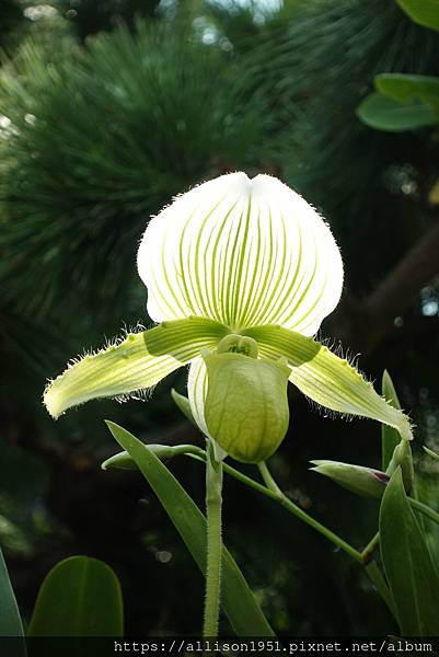 S5A05896.JPG