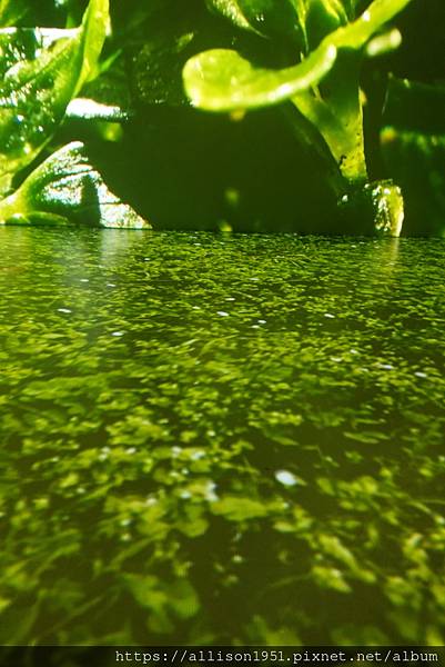 S5A05921.JPG