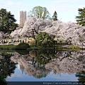 DSC03317.JPG