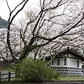 DSC03513.JPG