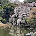 IMG_9526.JPG