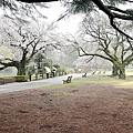 IMG_8858.JPG