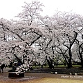 DSC02703.JPG