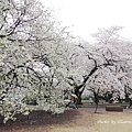DSC02704.JPG