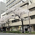 IMG_8790.JPG