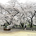 IMG_8804.JPG