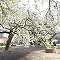 IMG_8819.JPG