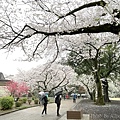 IMG_8824.JPG