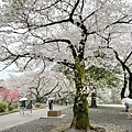 IMG_8822.JPG