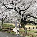 IMG_8847.JPG