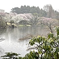 IMG_8827.JPG