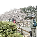 IMG_8836.JPG