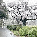 IMG_8878.JPG