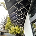 IMG_9412.JPG