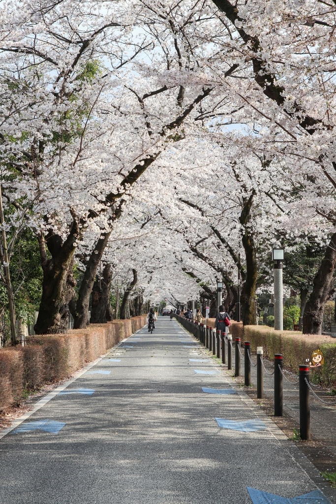 青山靈園04.jpg