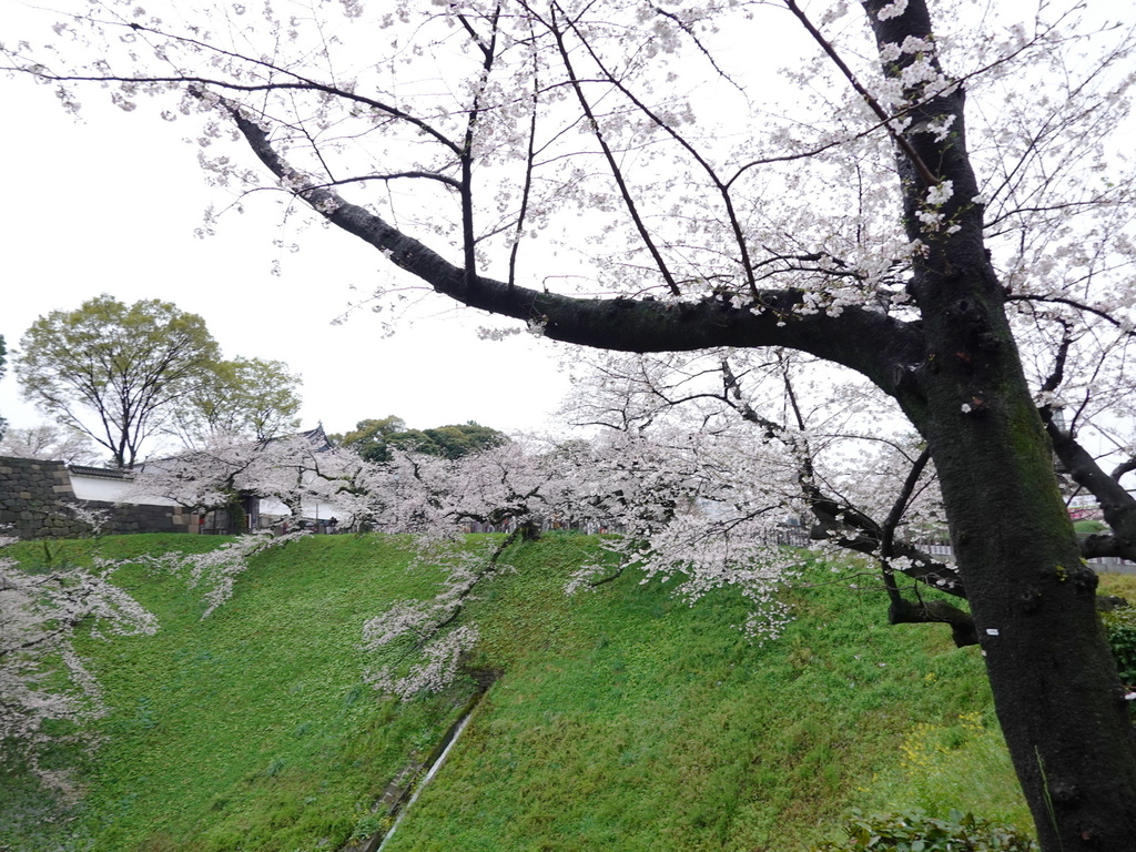 DSC02988.JPG